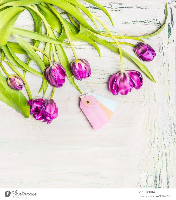 Lila Tulpen Blumenstrauß mit Kartonetiketten elegant Stil Design Dekoration & Verzierung Feste & Feiern Valentinstag Muttertag Geburtstag Natur Pflanze Frühling