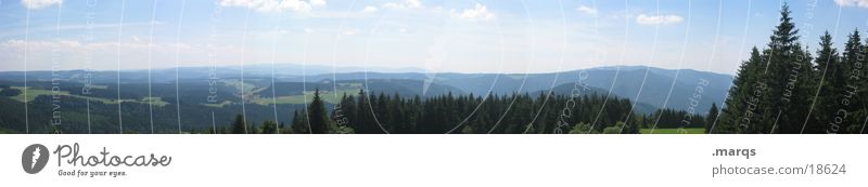 Black Forest Weitwinkel Wald Wiese Panorama (Aussicht) Schwarzwald Tal Sommer Hügel Horizont Berge u. Gebirge Deutschland Weide Himmel marqs groß