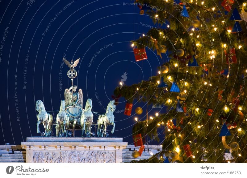 frohe weihnachten. Winter Baum Hauptstadt Sehenswürdigkeit Wahrzeichen Ornament Vorfreude Frieden Brandenburg Gate Berlin Altes Testament night Weihnachtsbaum