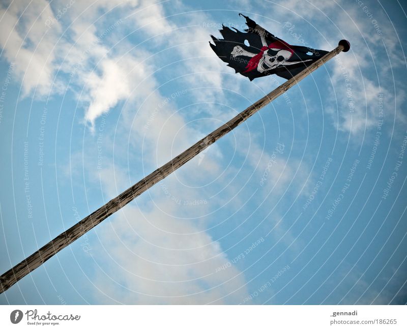 Piratenpartei im Aufwind Fahnenmast Himmel Schädel Luftverkehr Farbfoto Außenaufnahme Menschenleer Tag