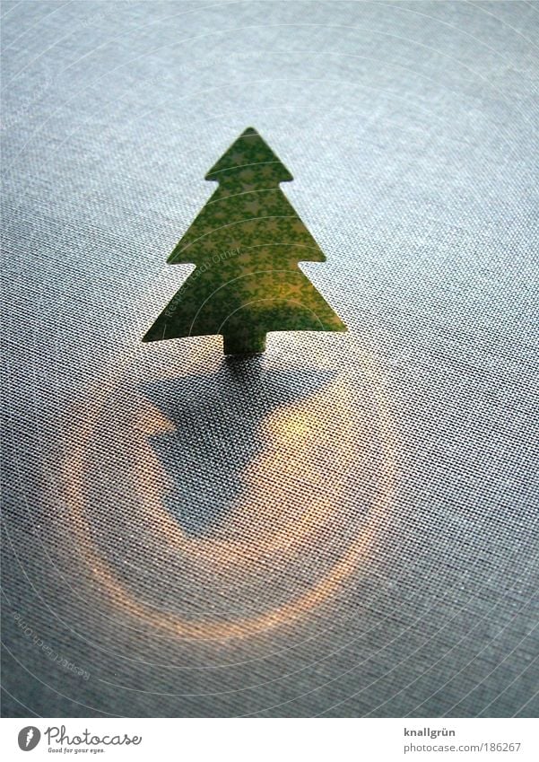Oh du fröhliche... Baum Weihnachtsbaum leuchten stehen glänzend gold grau grün Fröhlichkeit Vorfreude Erwartung Wunsch Weihnachten & Advent Beleuchtung