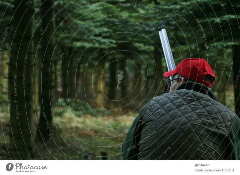 Auf der Jagd maskulin Mann Erwachsene Kopf Rücken 1 Mensch Natur Herbst Baum Wald Bekleidung Mütze Gewehr beobachten Denken hocken Blick warten authentisch