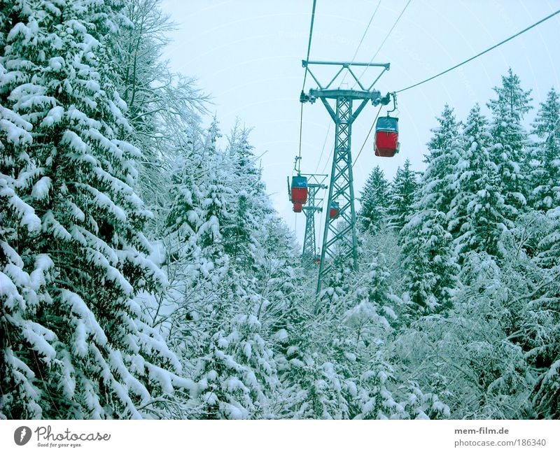 rauf... und dann wieder runter Wintersport Seilbahn Gondellift rot Neuschnee Tanne Winterurlaub Verkehrsmittel Berge u. Gebirge Winterwald kalt Bergwald