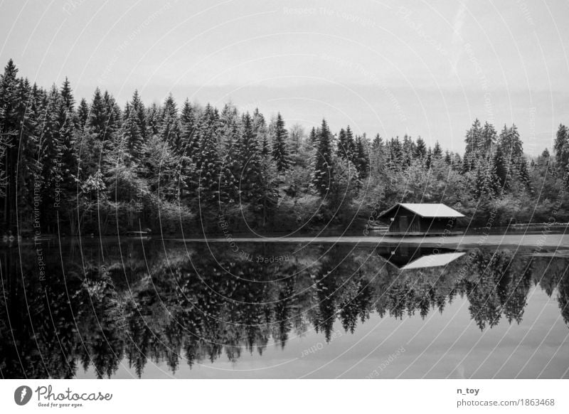 Haus im See Umwelt Natur Landschaft Wasser Winter Eis Frost Schnee Wald Seeufer frieren frei Glück schwarz weiß Gefühle Stimmung Einsamkeit seehütte