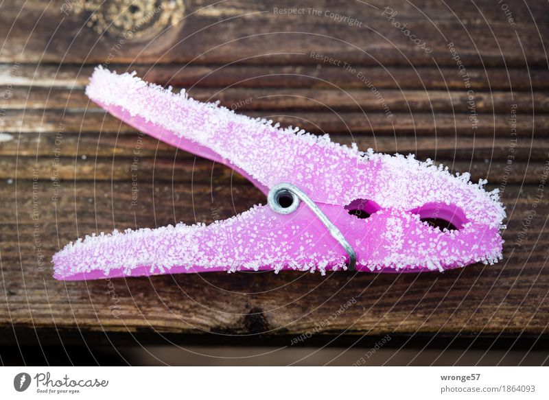Kälteopfer Wäscheklammern kalt braun rosa Klammer Frost Raureif Eiskristall Holzbrett Querformat vergessen Farbfoto mehrfarbig Außenaufnahme Nahaufnahme