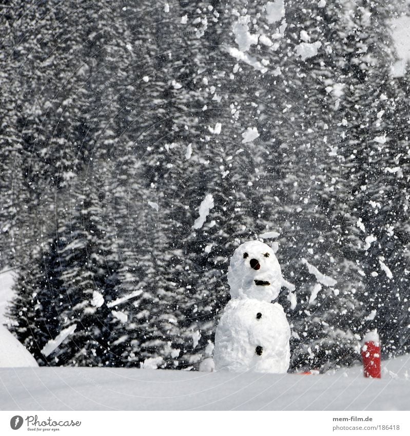 schnee, mann! Weihnachten & Advent Winter Schneemann kalt Schneefall Mann scheien Kinderspiel Berge u. Gebirge Schweiz Österreich Ferien & Urlaub & Reisen