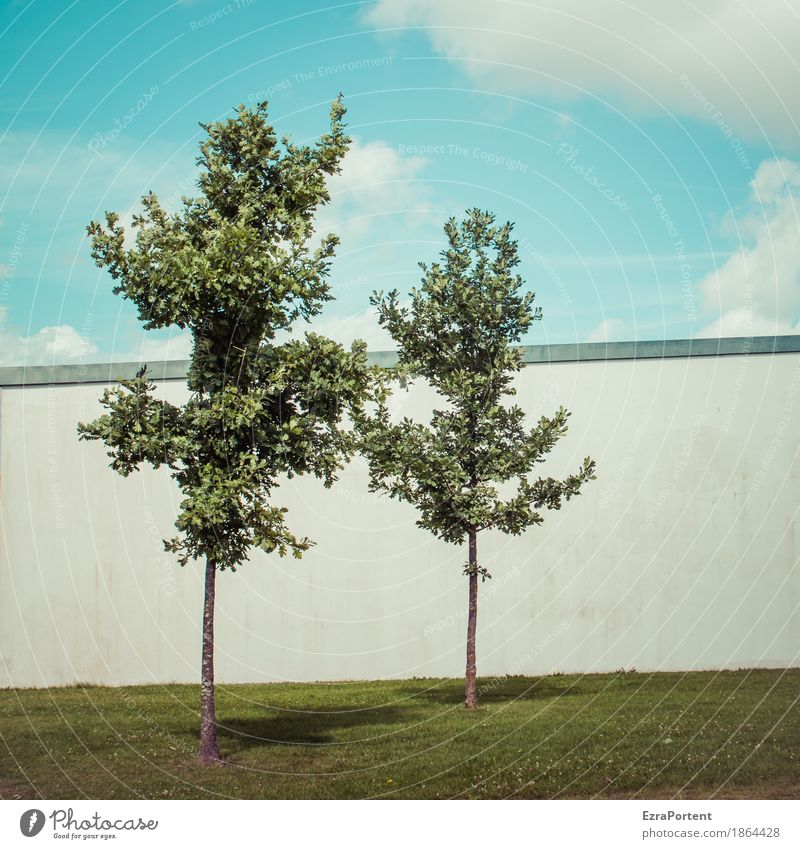 twins Umwelt Natur Himmel Wolken Klima Pflanze Baum Gras Mauer Wand Fassade Linie blau grau grün weiß Sympathie Zusammensein Zusammenhalt 2 Gebäude Schatten