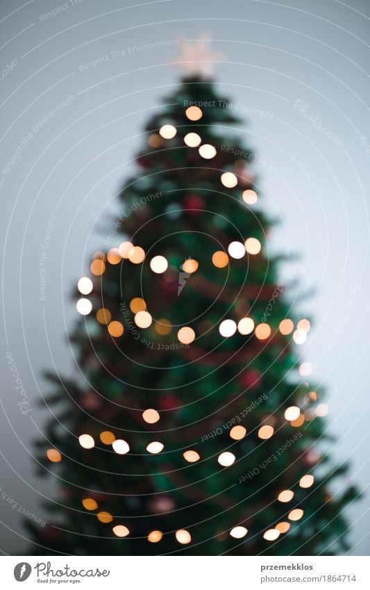 Verschwommene Christbaumkerzen Dekoration & Verzierung Weihnachten & Advent Baum hell grün Tradition Hintergrund Unschärfe farbenfroh glühen Feiertag