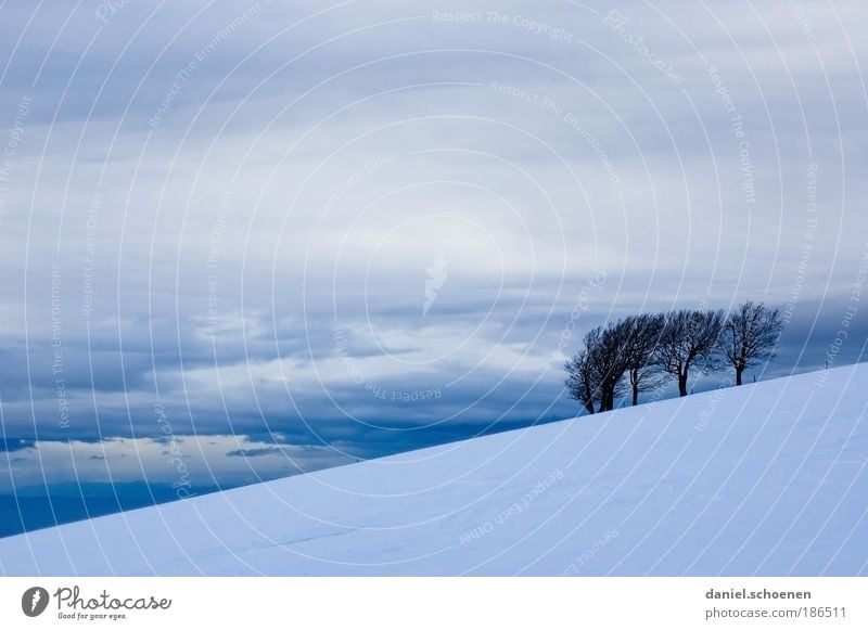 Schauinsland Landschaft Himmel Wolken Winter Klima Wetter schlechtes Wetter Wind Sturm Eis Frost Schnee Berge u. Gebirge blau grau weiß Schwarzwald Baum
