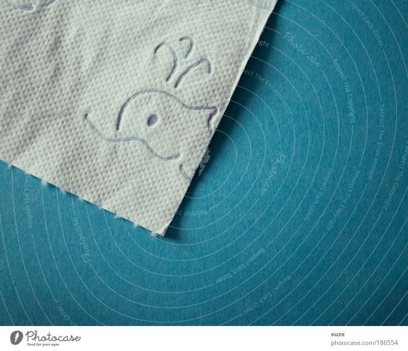 Tierschutz ... Papier Toilettenpapier Sauberkeit blau weiß Wal Prägung Walbeobachtung Tierfigur graphisch Grafik u. Illustration Umrisslinie Hintergrund neutral