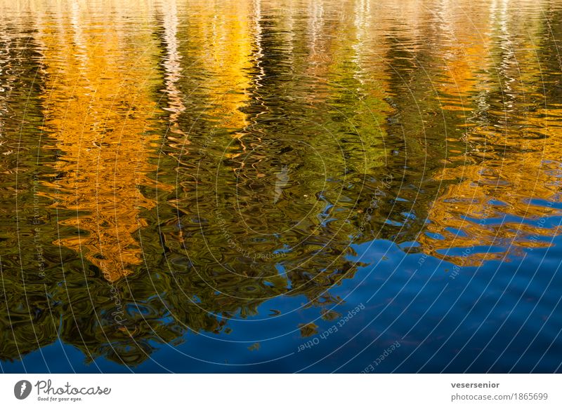 im herbst, im boot Landschaft Wasser Herbst Baum Seeufer schön blau gold friedlich Gelassenheit geduldig ruhig Zufriedenheit Erholung Idylle Natur Farbfoto