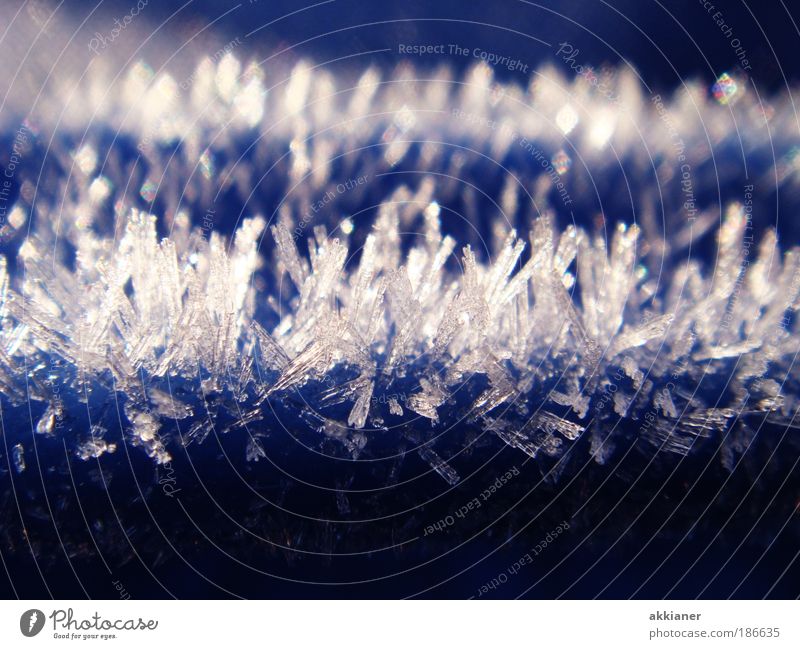 Ömers Eiskristalle Umwelt Klima Wetter Schönes Wetter Frost hell blau weiß kalt Kristalle Farbfoto Außenaufnahme Nahaufnahme Menschenleer Morgen Tag Licht