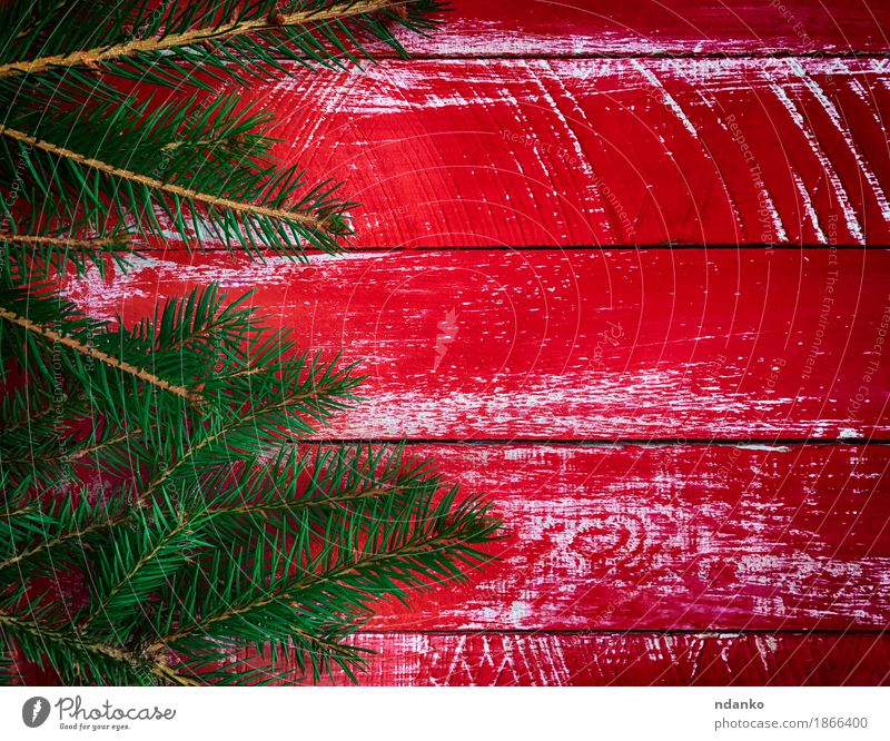 Roter hölzerner Hintergrund mit Niederlassungstanne Winter Dekoration & Verzierung Tisch Feste & Feiern Weihnachten & Advent Baum Holz alt hell neu grün rot