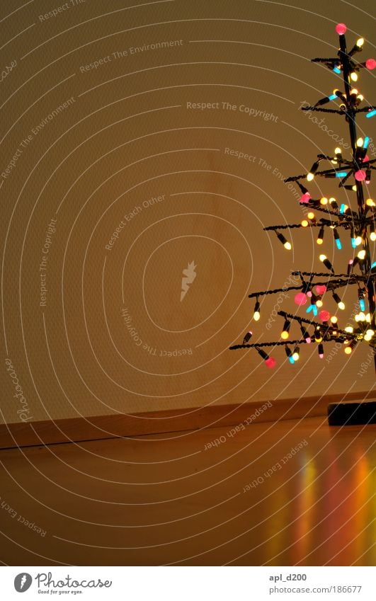 Zimmerschmuck Winter Wohnzimmer Feste & Feiern Pflanze Baum ästhetisch authentisch mehrfarbig Weihnachtsbaum Lichterkette Farbfoto Innenaufnahme