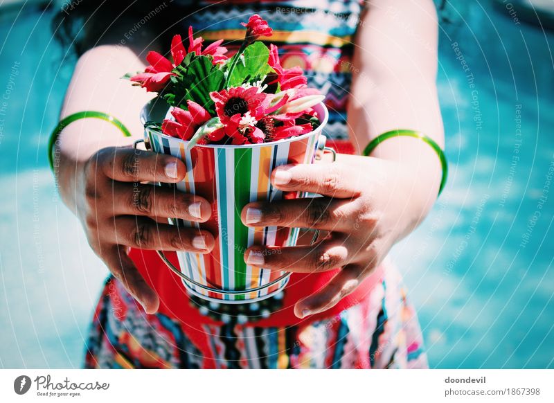 Junge Frau, die in der Hand Blumen hält Dekoration & Verzierung Blumenstrauß Inspiration Liebe schön Willkommen mehrfarbig hell Halt rot Begrüßung Farbfoto