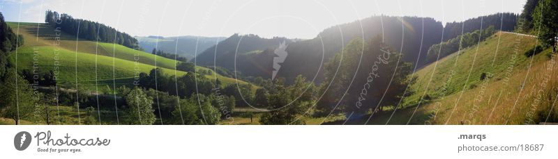 Frisch und Saftig Panorama (Aussicht) Wiese grün Sommer Schwarzwald Berge u. Gebirge Tal Spirzen groß Panorama (Bildformat)