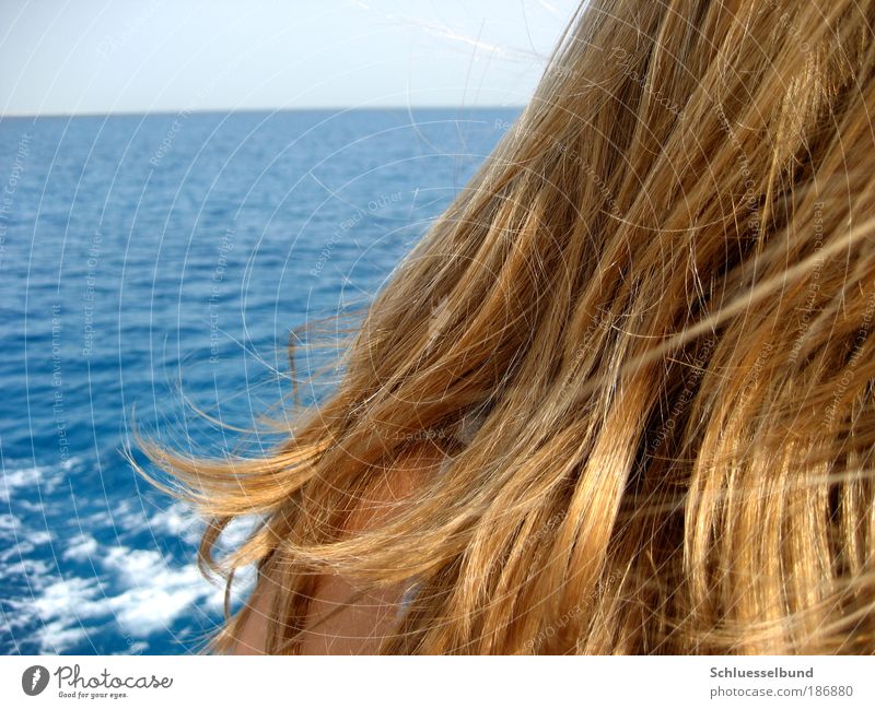 Red Sea Wohlgefühl Zufriedenheit Ferien & Urlaub & Reisen Freiheit Kreuzfahrt Sommer Sonne Meer Wellen Mensch feminin Junge Frau Jugendliche Haut Kopf Rücken 1