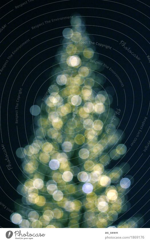 Xmas Tree Lifestyle kaufen elegant Stil Design harmonisch Nachtleben Feste & Feiern Weihnachten & Advent Silvester u. Neujahr Weihnachtsbaum