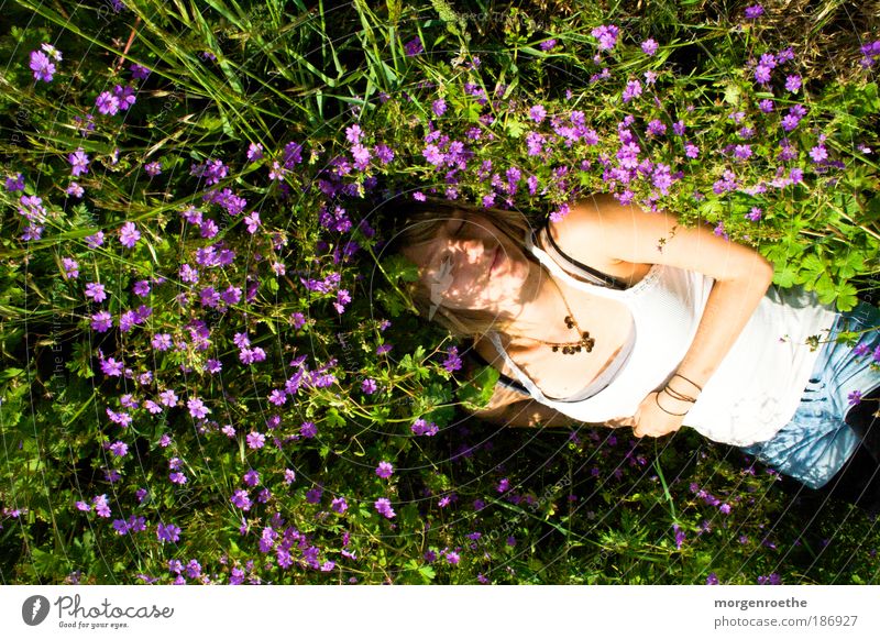 Wenn jetzt Sommer wär` Ausflug Junge Frau Jugendliche Arme 1 Mensch 18-30 Jahre Erwachsene Natur Pflanze Blume Gras Wiese berühren Duft liegen träumen