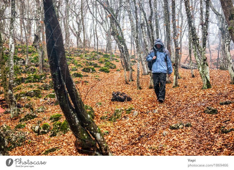Junger Mann im Herbstwald Lifestyle Freizeit & Hobby Ferien & Urlaub & Reisen Ausflug Abenteuer wandern Mensch Jugendliche Erwachsene 1 Natur Landschaft Nebel
