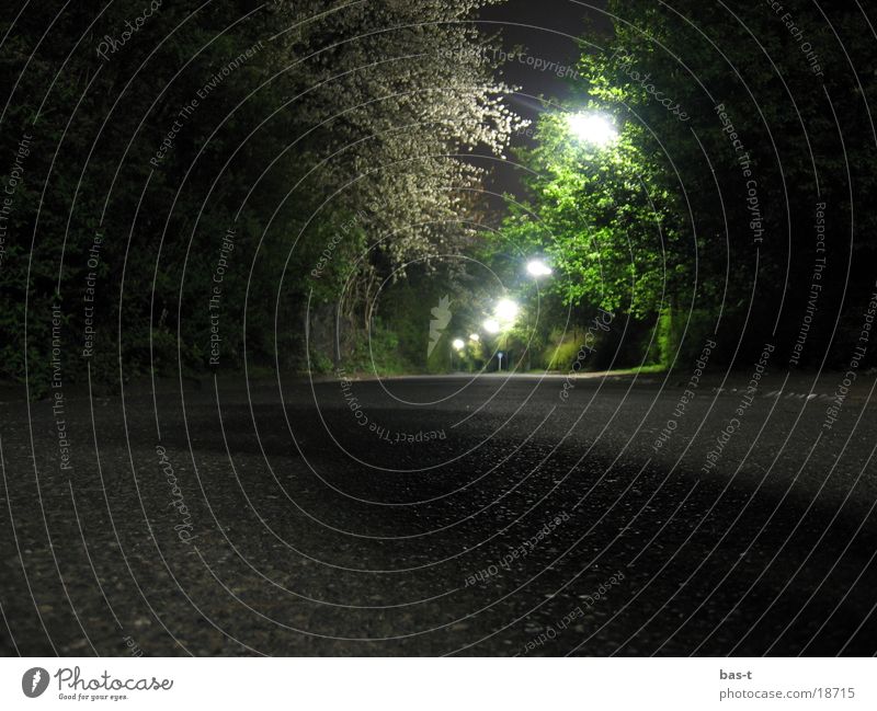Einsame Wege bei Nacht Köln Langzeitbelichtung glänzend Licht Einsamkeit grün Europa Wege & Pfade