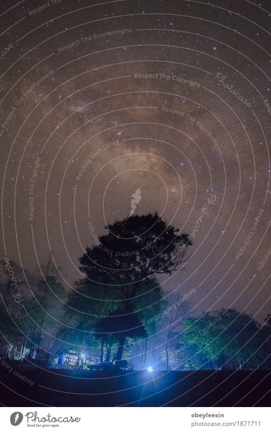 Milchstraße Kunst Künstler Natur Landschaft Himmel Nachthimmel Stern Frühling Baum Abenteuer Farbfoto mehrfarbig Detailaufnahme Langzeitbelichtung Weitwinkel