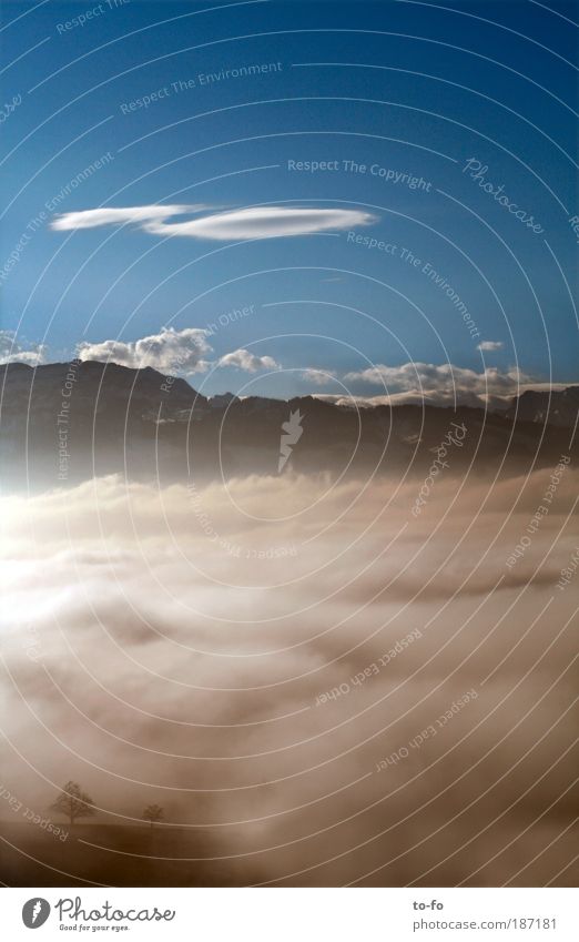 Über den Wolken... Natur Landschaft Luft Himmel Horizont Schönes Wetter Alpen Berge u. Gebirge Romantik Freiheit Umwelt Farbfoto Außenaufnahme Menschenleer Tag