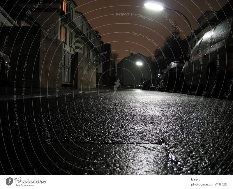 Krötenblick bei Nacht Langzeitbelichtung Froschperspektive Krötenwanderung nass Laterne Straße Froschblick Fütze