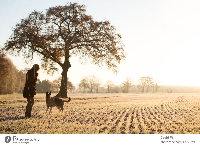 bei winterlichem Wetter spazieren mit dem Hund kalt Gassi gehen Haustier Feld laufen beweugung Frauchen Hundehalter Sonnenlicht