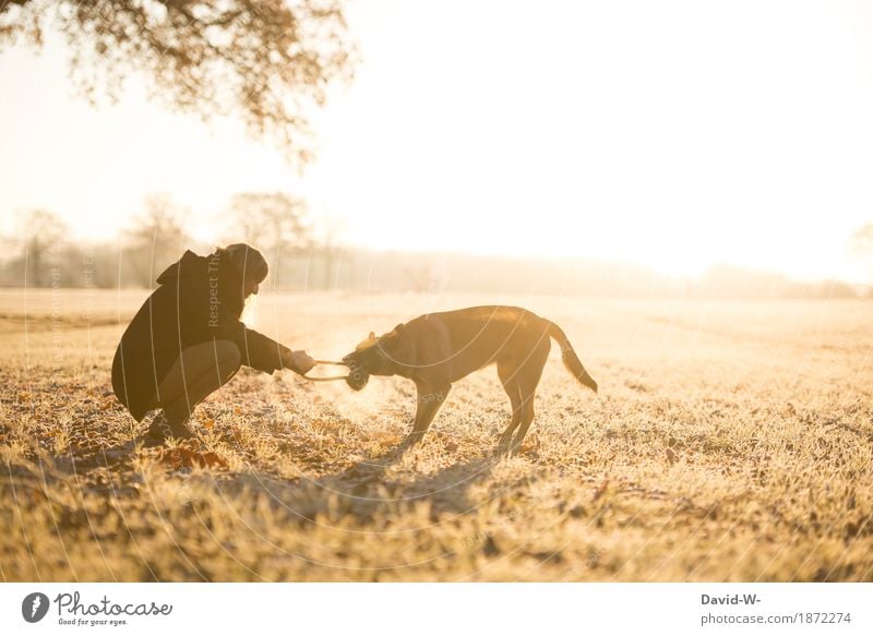Frauchen und Hund spielen zusammen an einem kalten Wintertag frauchen Natur sonnenlicht Hundespielzeug winterlich Freundschaft Freunde Tier