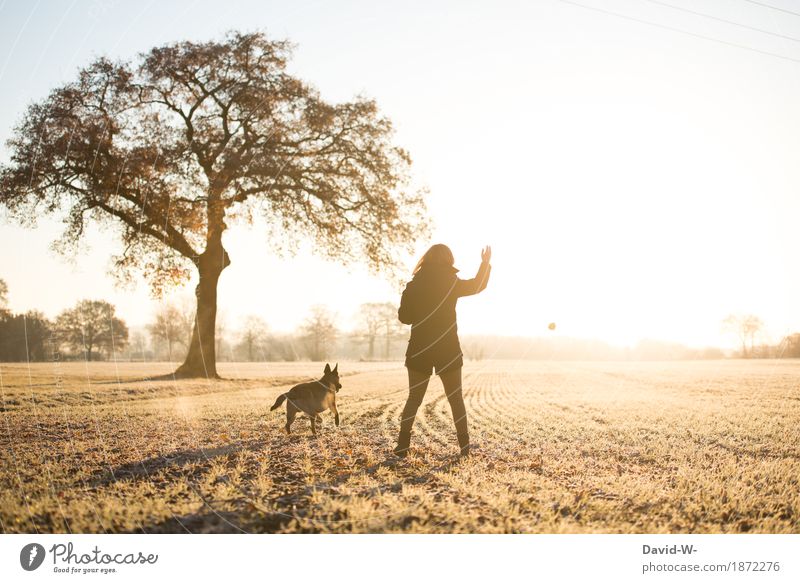 bei Sonnenaufgang mit dem Hund draußen in der Natur ballspielen Ballspielen werfen frauchen spazieren Freude Ballsport Außenaufnahme Farbfoto Himmel Bewegung