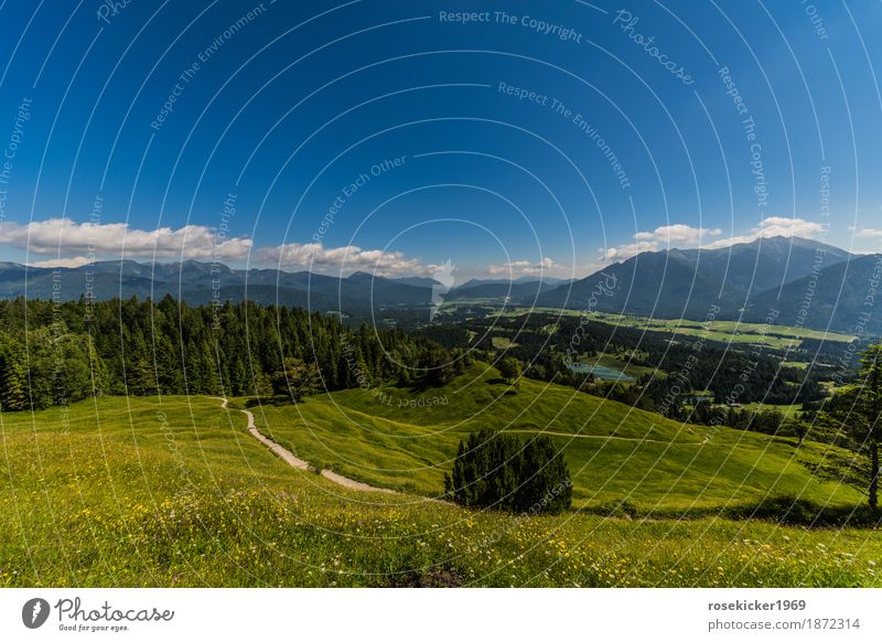 Blick vom Kranzberg Fitness Wellness Zufriedenheit ruhig Freiheit Sommerurlaub Joggen wandern Natur Landschaft Horizont Schönes Wetter Alpen Menschenleer