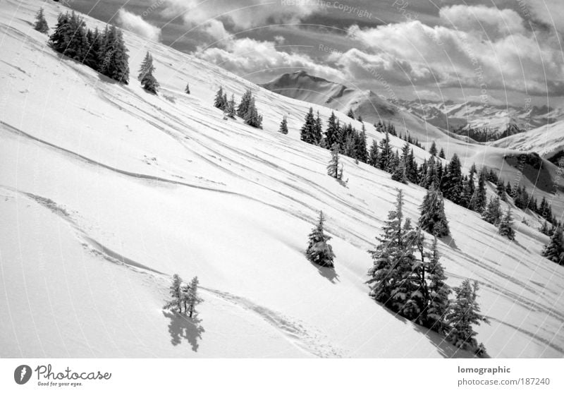 Talabfahrt Natur Landschaft Wolken Winter Schnee Baum Felsen Alpen Berge u. Gebirge Kitzbüheler Alpen Gipfel Schneebedeckte Gipfel Gletscher kalt schwarz weiß