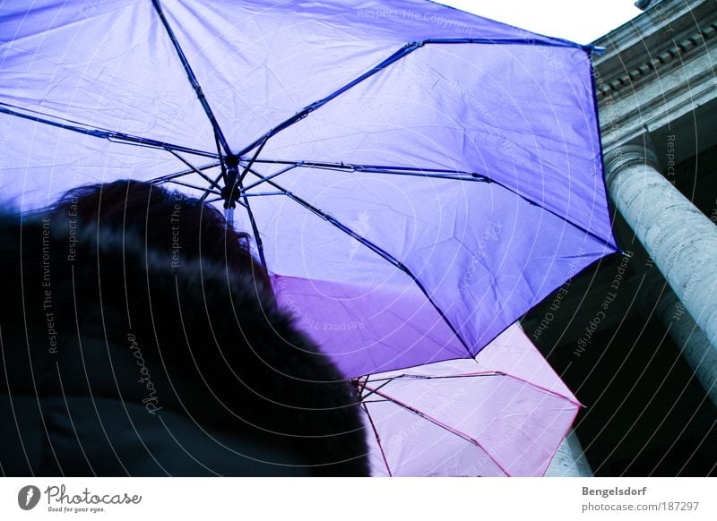 Regenschirm-Polonaise Mensch Wasser Wassertropfen Wetter schlechtes Wetter Gewitter Eis Frost Schnee bevölkert Platz Bekleidung Jacke Mantel warten stehen kalt