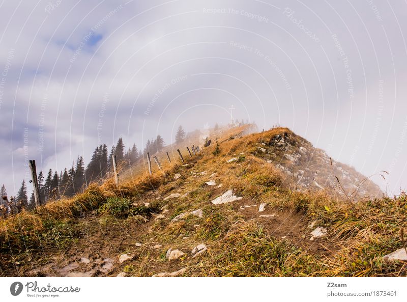 fast da Berge u. Gebirge wandern Natur Landschaft Himmel Wolken Herbst Nebel Alpen bedrohlich Unendlichkeit natürlich ruhig Einsamkeit Abenteuer Erholung