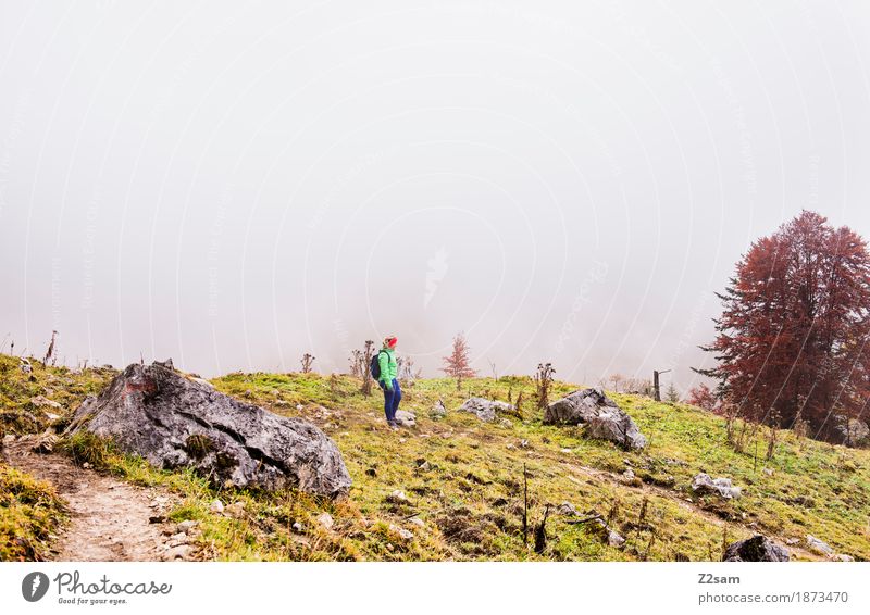 ganz allein hier oben Berge u. Gebirge wandern Sport Frau Erwachsene 30-45 Jahre Natur Landschaft Herbst schlechtes Wetter Nebel Sträucher Alpen Gipfel gehen
