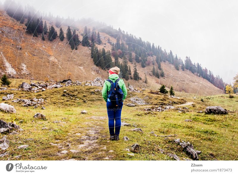 nix los hier Berge u. Gebirge wandern Sport Frau Erwachsene 18-30 Jahre Jugendliche Natur Landschaft Herbst schlechtes Wetter Nebel Wiese Alpen Gipfel Rucksack