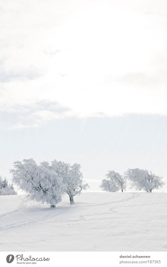 Hochformatschauinsland Ferien & Urlaub & Reisen Tourismus Winter Schnee Winterurlaub Wintersport Landschaft Klima Schönes Wetter Eis Frost hell weiß
