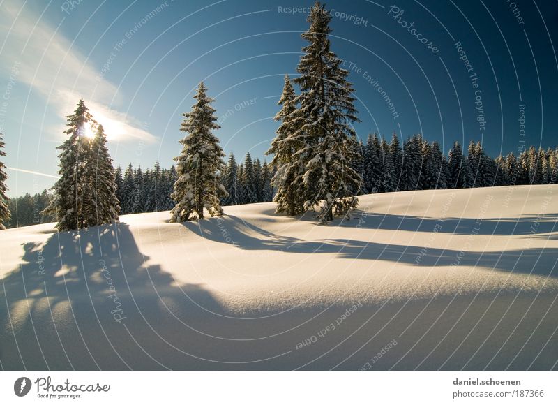 Querformatschauinsland Ferien & Urlaub & Reisen Winter Schnee Winterurlaub Umwelt Natur Landschaft Klima Schönes Wetter Eis Frost Baum Wald Erholung ruhig