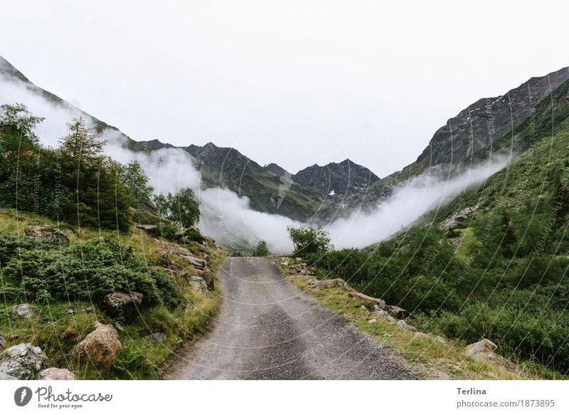 Wanderweg Landschaft Nebel Berge u. Gebirge Alpen beobachten wandern authentisch fantastisch Freundlichkeit Unendlichkeit natürlich Sauberkeit sportlich trocken