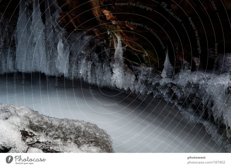 Fließendes Wasser unter Eis Umwelt Natur Urelemente Frost Schnee Flussufer Bach Bewegung weiß fließend Steine gefroren Kurve Farbfoto Außenaufnahme Nahaufnahme