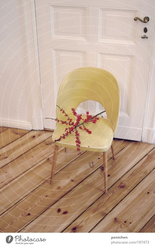 Daheim II Stil Design Wohnung einrichten Innenarchitektur Möbel Stuhl Natur Pflanze Wildpflanze Holz Leder alt ästhetisch authentisch gelb Tür retro