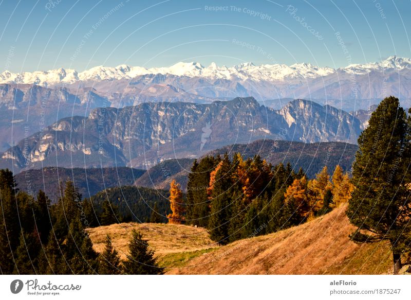 Alpine Landschaft Ausflug Abenteuer Sightseeing Berge u. Gebirge wandern Umwelt Natur Wolkenloser Himmel Herbst Schönes Wetter Schnee Baum Gras Felsen Alpen