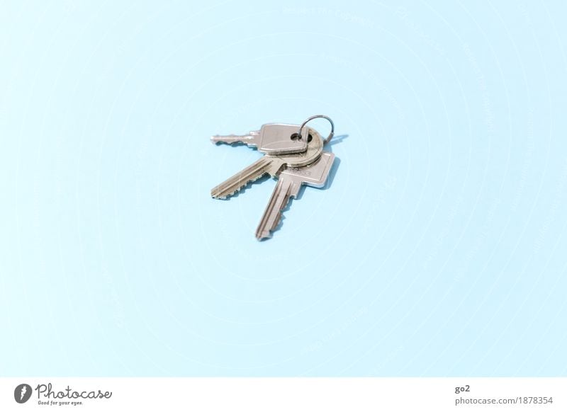 Schlüssel Häusliches Leben Wohnung Hausbau Umzug (Wohnungswechsel) Erfolg Schlüsselanhänger Schlüsseldienst Wohnungsschlüssel Metall Zeichen ästhetisch einfach