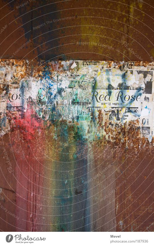 dusty rainbow Entertainment Kunst Veranstaltung Konzert Printmedien Tel Aviv Israel Stadtrand Ruine Mauer Wand Fassade Papier Metall Rost Zeichen Schriftzeichen