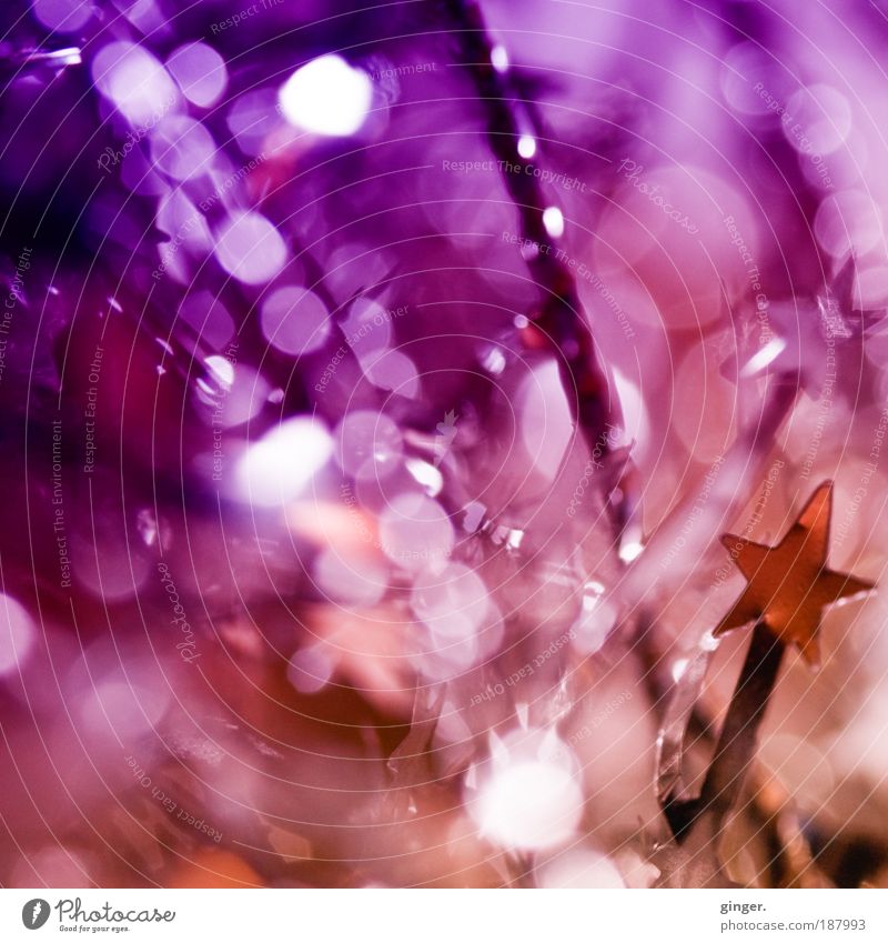 Prosit Neujahr !!! Zeichen gold violett rosa silber Punkt Dekoration & Verzierung Silvester u. Neujahr schillernd glänzend Wunsch Feste & Feiern