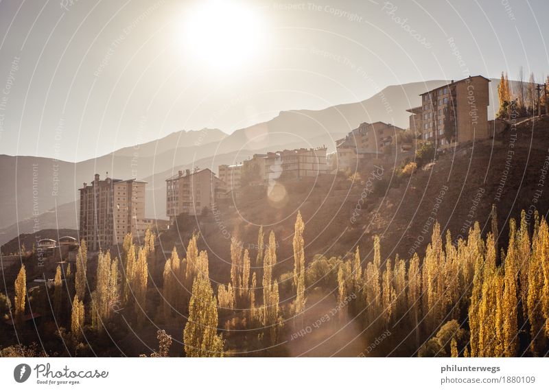 Iranian Highlands Umwelt Natur Himmel Sonne Sonnenlicht Sommer Klima Schönes Wetter Baum Pappeln Felsen Berge u. Gebirge Stadt Skyline Menschenleer Haus