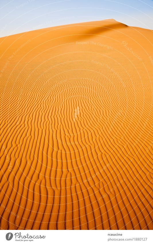 Sanddüne in Sahara-Wüste, Afrika. Natur Landschaft Wärme wild gelb wüst desolat trocknen Düne sonnig Wildnis vertikal Außenaufnahme Menschenleer
