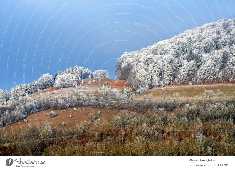 Der erste Frost Ferien & Urlaub & Reisen Tourismus Ausflug Winter Schnee Winterurlaub Berge u. Gebirge wandern Natur Landschaft Pflanze Wetter Schönes Wetter