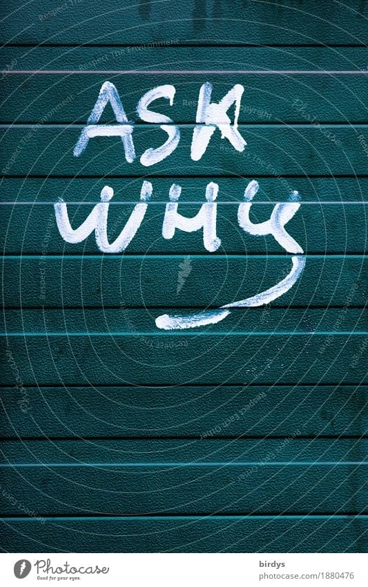 Forum Mauer Wand Metall Zeichen Schriftzeichen Graffiti Linie einzigartig positiv rebellisch grün weiß Erfolg Mut Wachsamkeit gewissenhaft Wahrheit Neugier